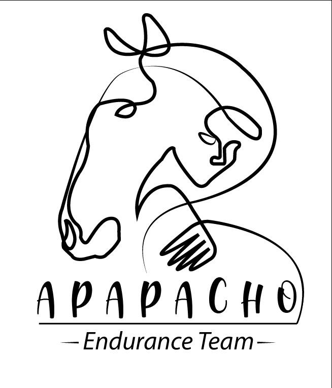 Foto de Apapacho Endurance Team