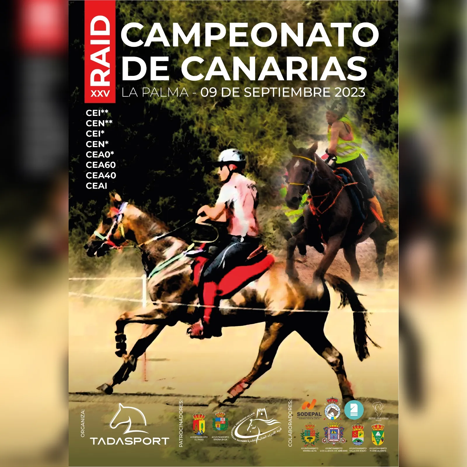 Cartel de XXV Campeonato de Canarias de Raid 2023