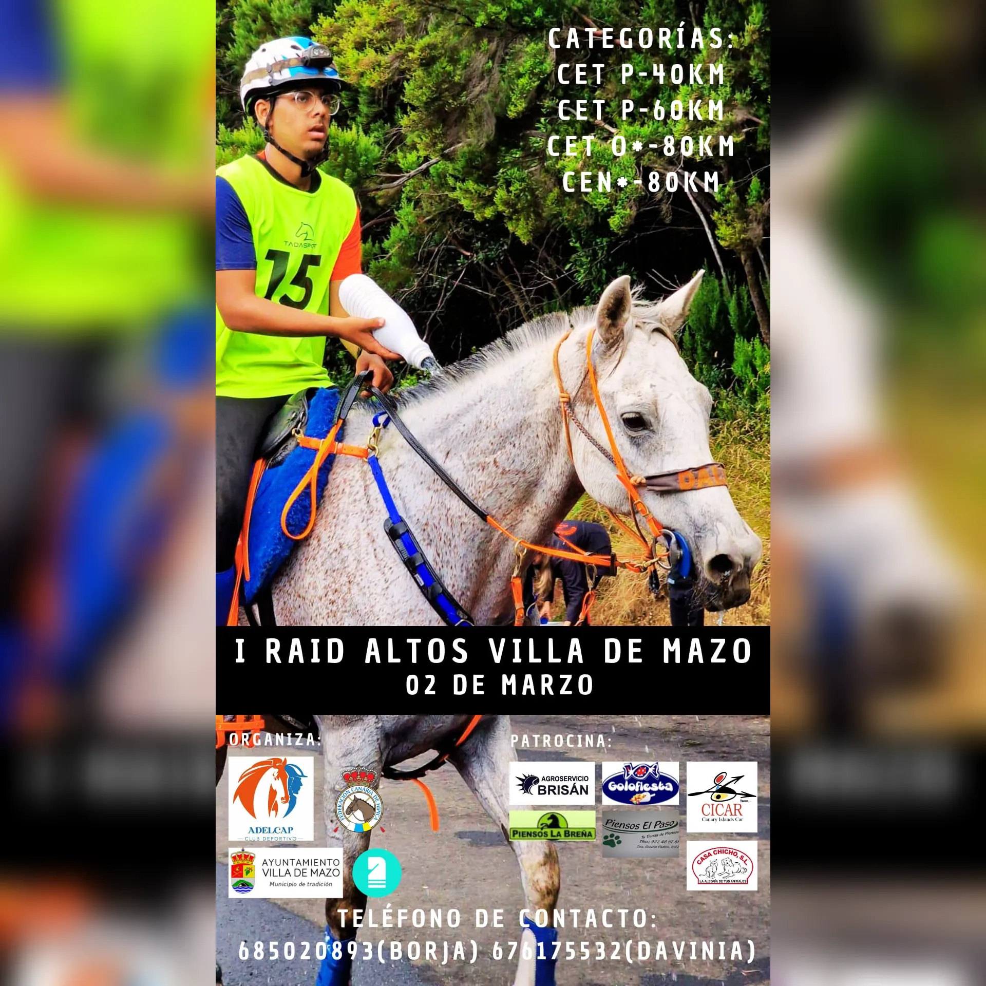 Poster of I Raid Altos Villa de Mazo