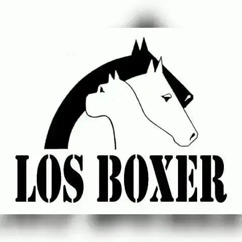 Poster of XXXVII Raid Los Boxer