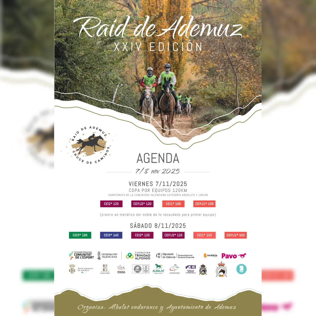 Poster of XXIV Raid Ademuz