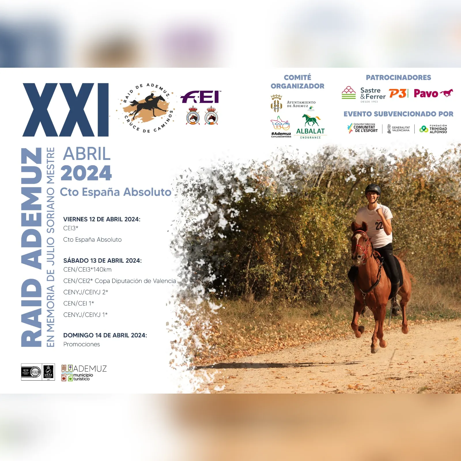 Poster of XXI Raid Ademuz