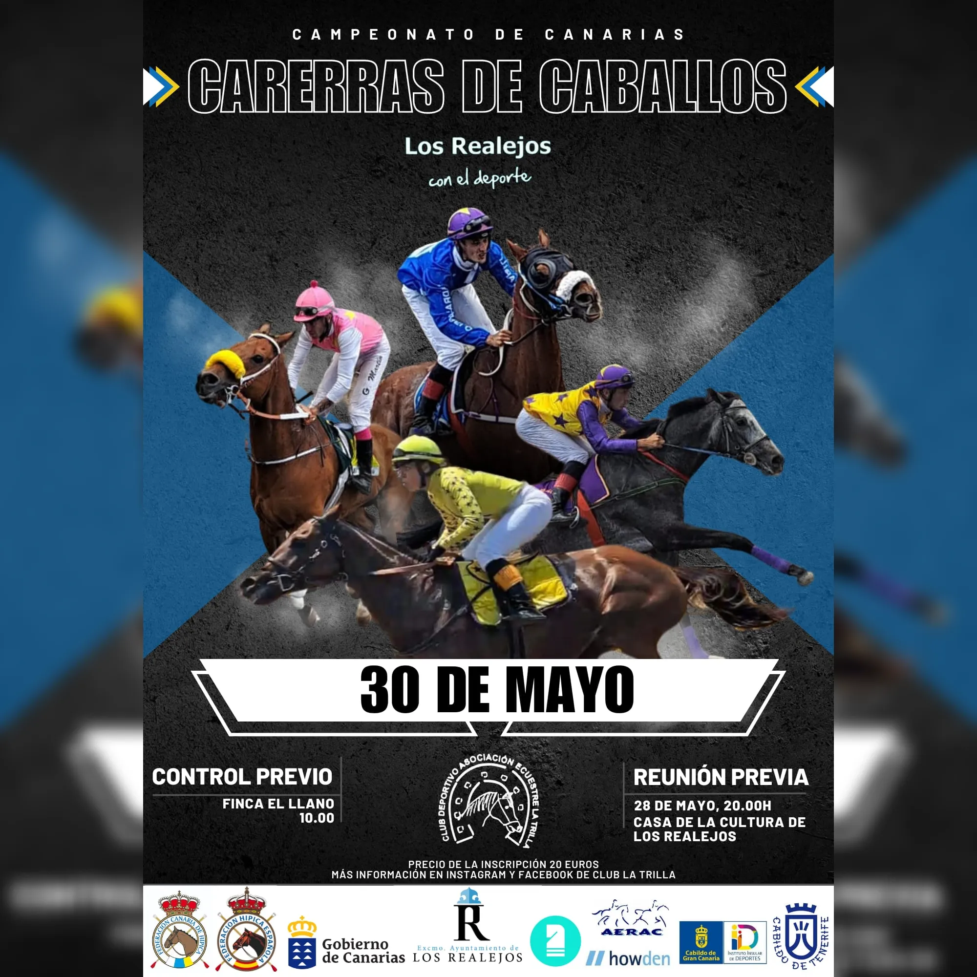 Cartel de Carreras de Caballos Villa de Los Realejos Campeonato de Canarias 2024